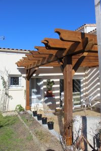 Pergola - Gradignan - Février 2023 (4)